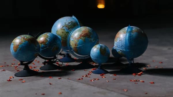 A collection of globes arranged on a concrete floor, surrounded by scattered petals.