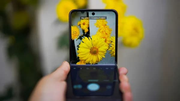 A smartphone capturing vivid yellow flowers, showcasing technology and nature interaction.