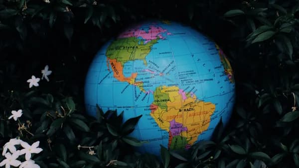 Earth globe toy placed in green bush with white flowers in nature in daytime