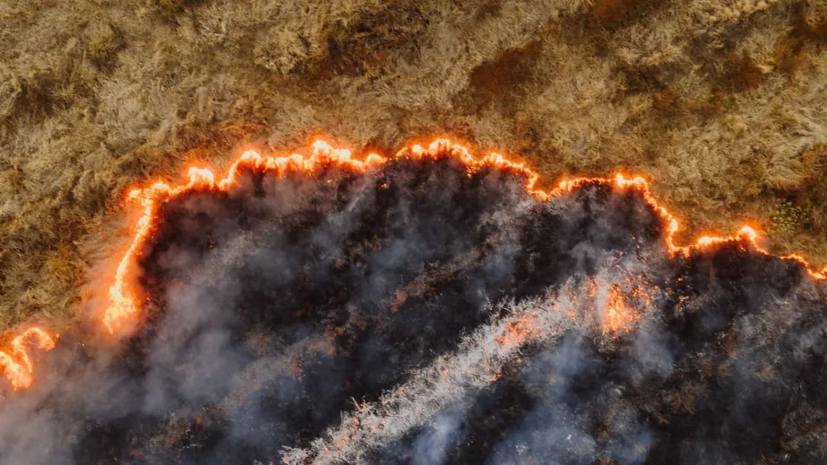 Dramatic aerial view of a wildfire spreading through dry grassland in Mpumalanga, South Africa.
