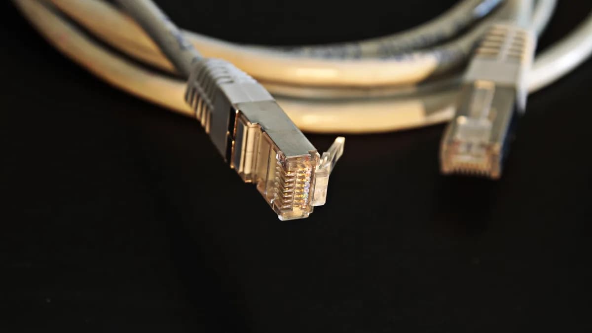 Detailed close-up of a network Ethernet cable showing connectors on a black background.