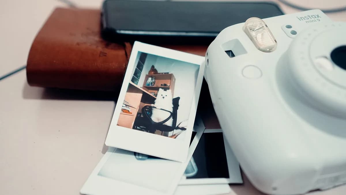 From above instant photos of cute dog placed on desk near camera and smartphone