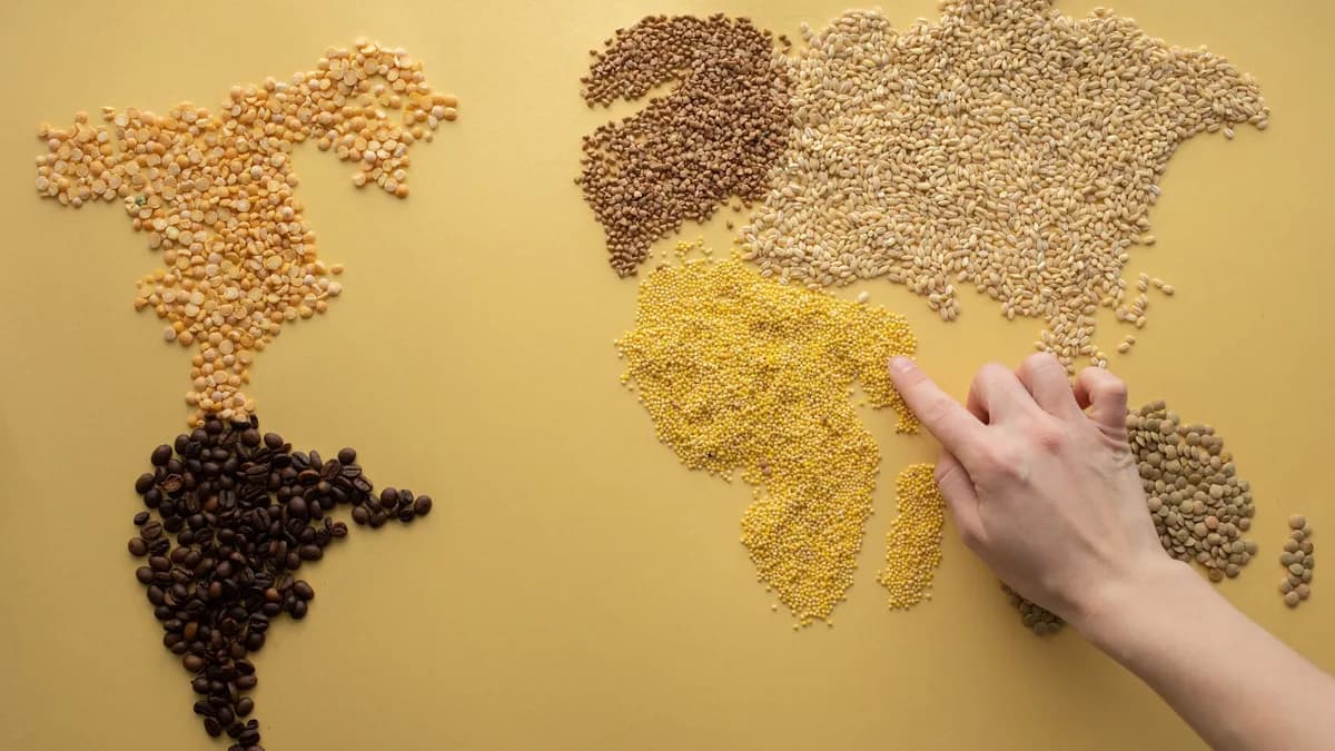Top view of crop unrecognizable traveler making world continents with assorted grains and coffee beans on yellow background in room